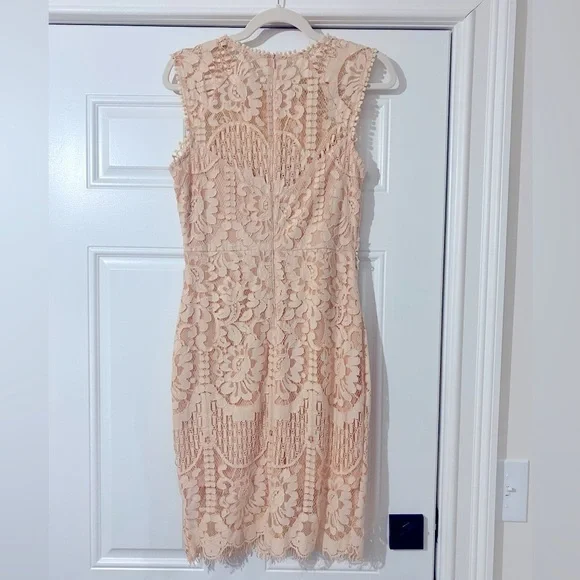 Main Strip Lace Blush Pink Dress - Picture 2 of 3